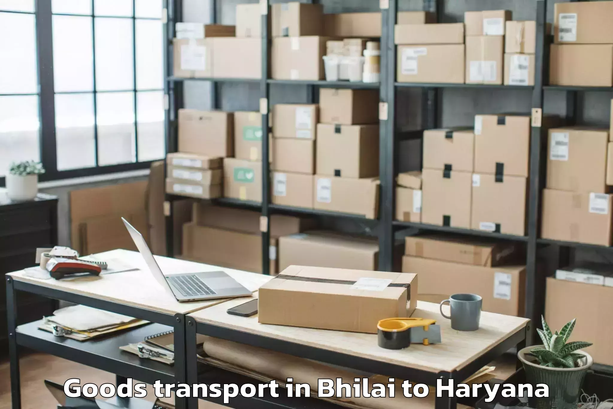 Reliable Bhilai to Narnaul Goods Transport